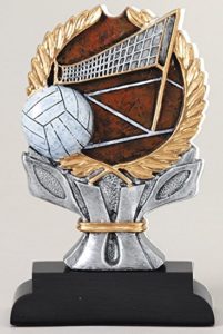 Volleyball Trophy 